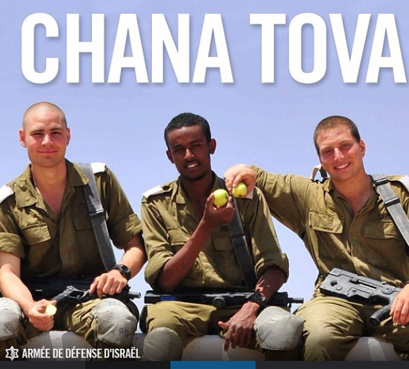 Crédit: page Instagram de Tsahal_fr