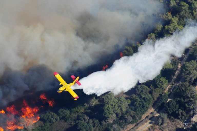 En 2010, l’incendie du Mont Carmel a fait 44 victimes (photo Wikipedia)