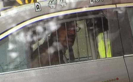 Suspect emmené en garde à vue
