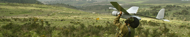 IDF-Skylarks-banner
