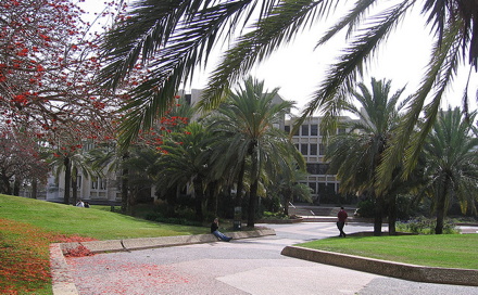 Campus de l'Université de Tel-Aviv Crédits : RonAlmog