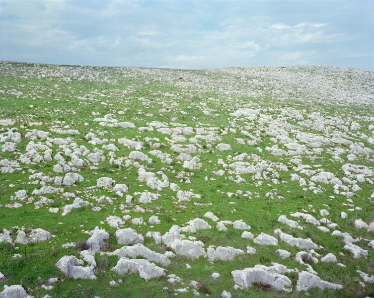 Stephen Shore, Sud de Safed