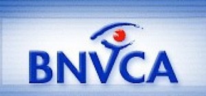 BNVCA-Logo-520x245