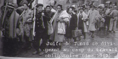 juifs-tunis
