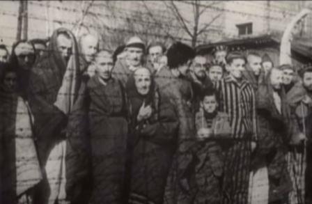 Survivants Auschwitz Birkenau - Crédit Youtube