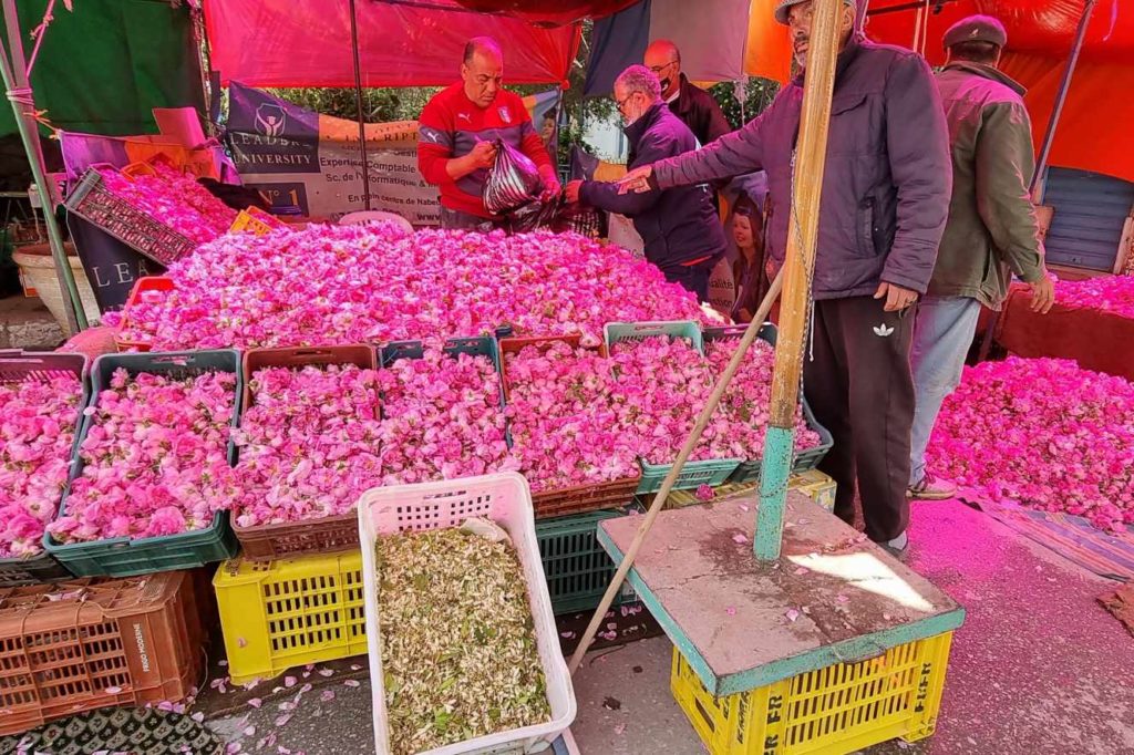 Des roses vendues en vrac dans les rues de Nabeul, en Tunisie, en avril.