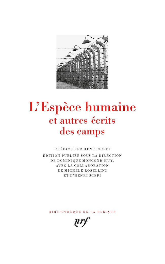 Philippe Mesnard L esth tisation Du T moignage Tribune Juive philippe-mesnard-l-esth-tisation-du-t-moignage-tribune-juive
